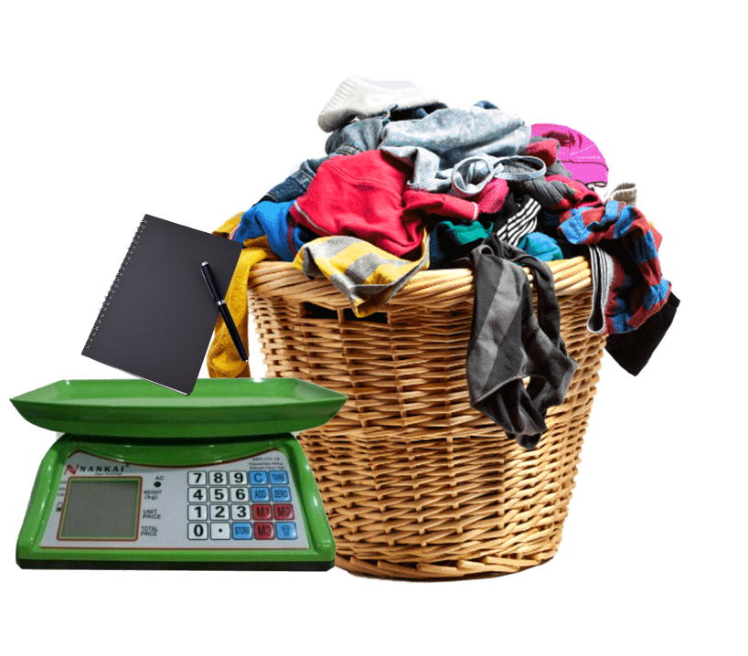 icon laundrypreneur