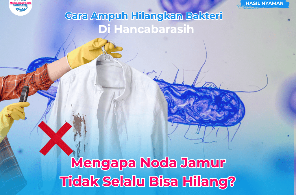 Noda Jamur Pakaian: Fakta, Penyebab, dan Treatment Laundry